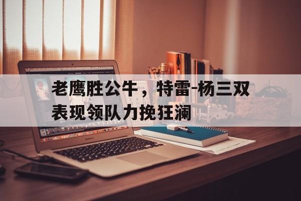 老鹰胜公牛，特雷-杨三双表现领队力挽狂澜的简单介绍