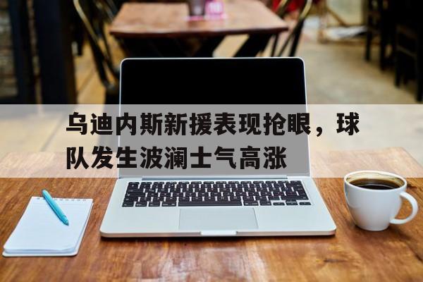 乌迪内斯新援表现抢眼，球队发生波澜士气高涨的简单介绍