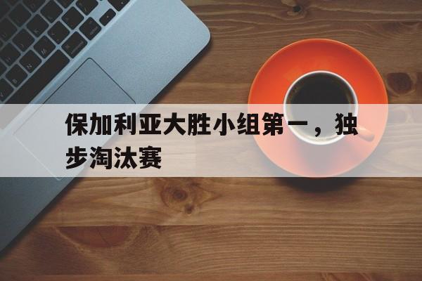 保加利亚大胜小组第一，独步淘汰赛